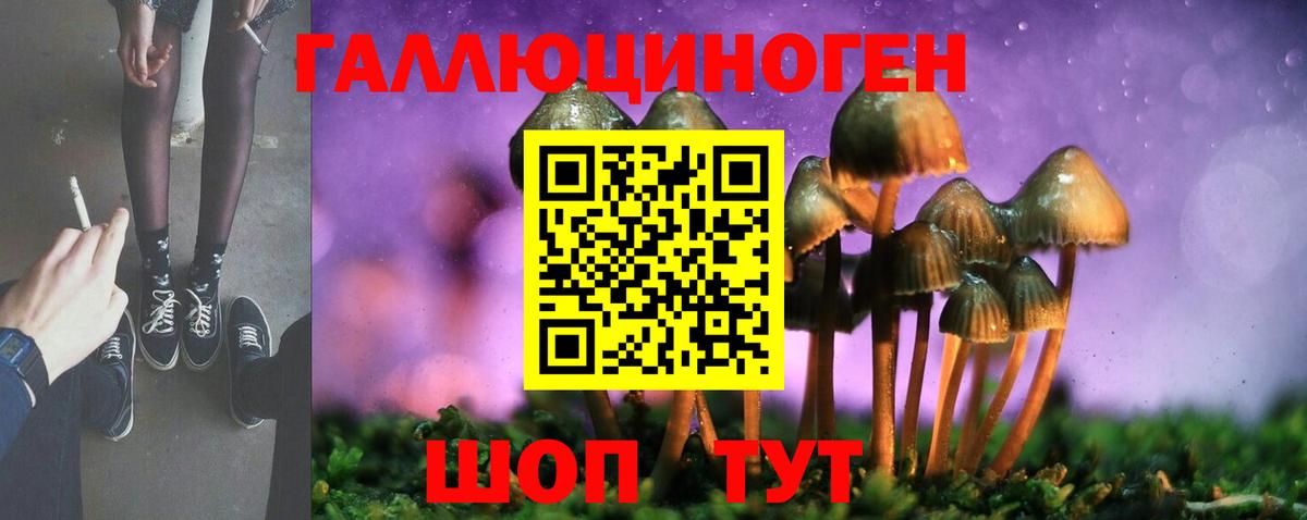 Псилоцибиновые грибы GOLDEN TEACHER  Вход с VPN  Мелеуз  Галлюциногенные грибы GOLDEN TEACHER 